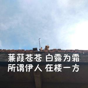 女生裸体××免费视频
